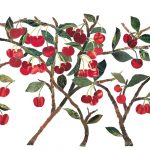 cherry tree_web_P581C3031A