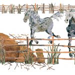 horses_web_P581C1819A